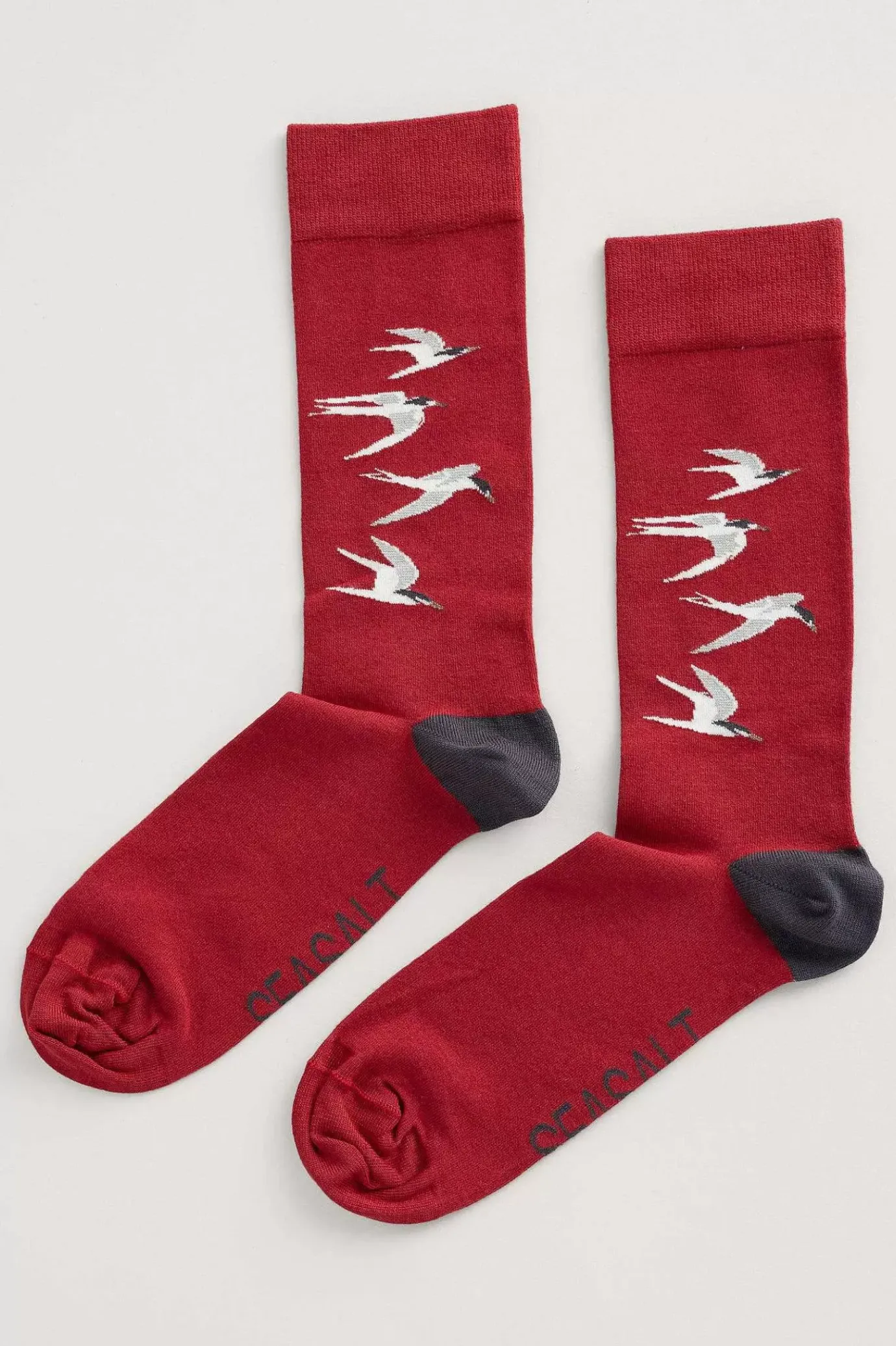 Seasalt Cornwall Men's Arty Organic Cotton Socks<Men Socks