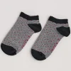 Seasalt Cornwall Women's Everyday Trainer Socks<Women Socks & Tights