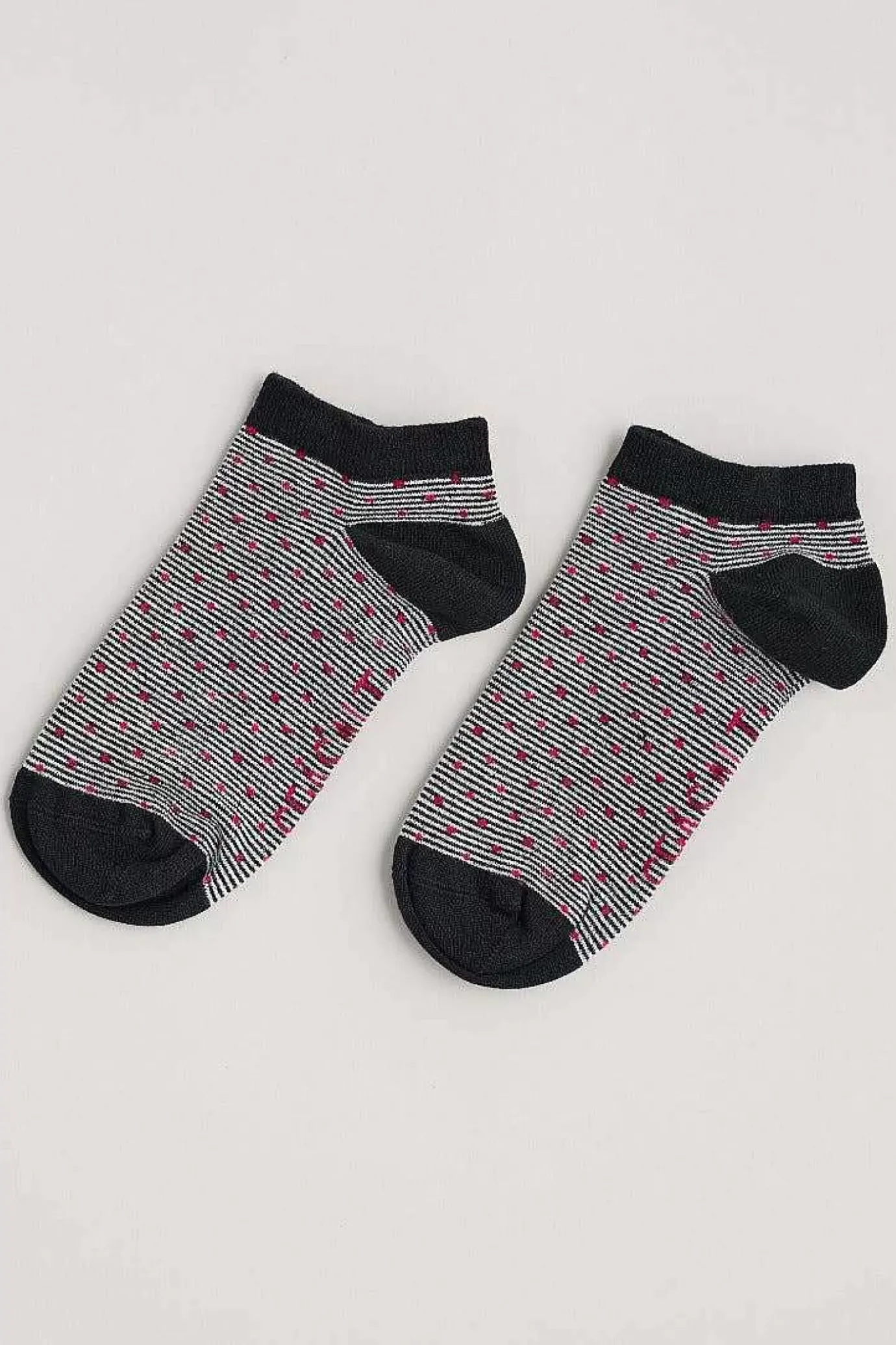 Seasalt Cornwall Women's Everyday Trainer Socks<Women Socks & Tights